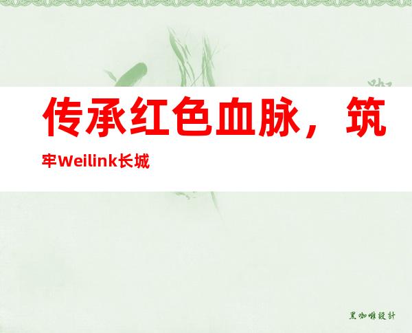 传承红色血脉，筑牢Weilink长城